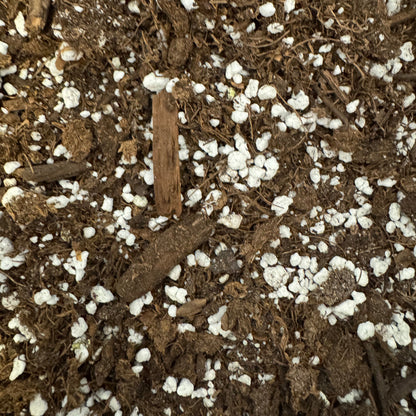 Pinguicula Soil Mix | Ready-to-Use Carnivorous Plant Substrate (1 Qt)