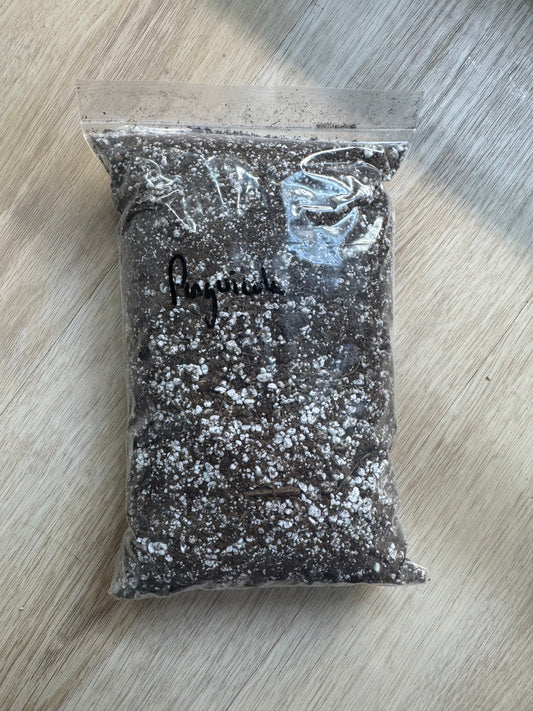 Pinguicula Soil Mix | Ready-to-Use Carnivorous Plant Substrate (1 Qt)